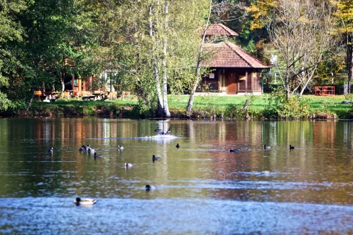 Der Badesee Schöntalweiher bei Ludwigswinkel