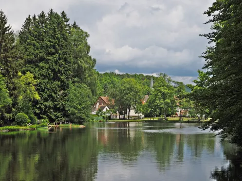 Sägmühlweiher am Rumbergsteig bei Ludwigswinkel