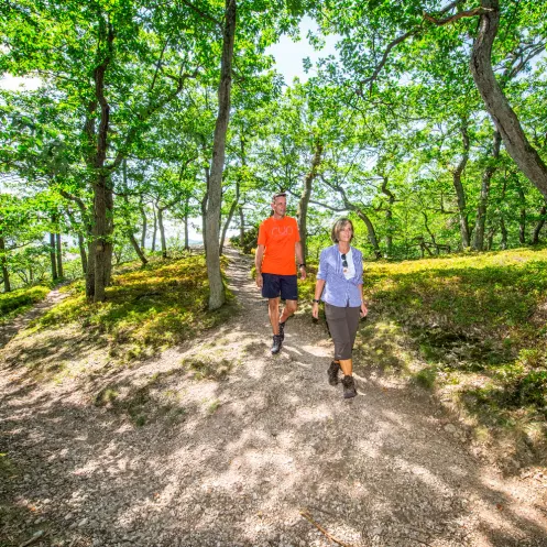 Eisenweg der Bergbauerlebnisweg im schattigen Wäldchen