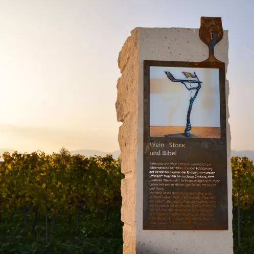 Infostele am Biblischen Weinpfad in Kirrweiler