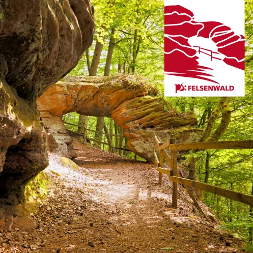 Felsenwaldtour mit Felsenformation