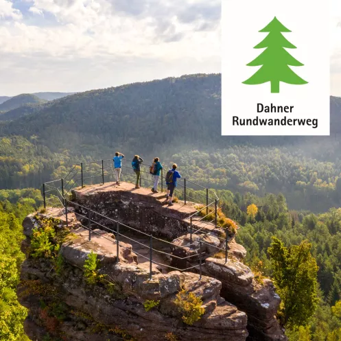 Dahner Rundwanderweg mit Blick über den Pfälzerwald