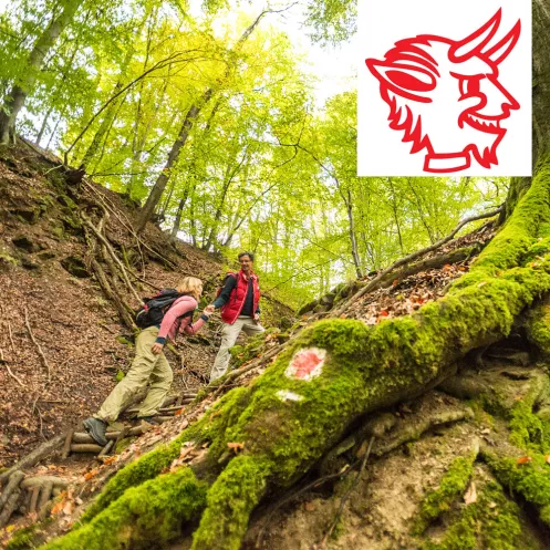 Teufelstour beim Aufstieg im Dieterswald