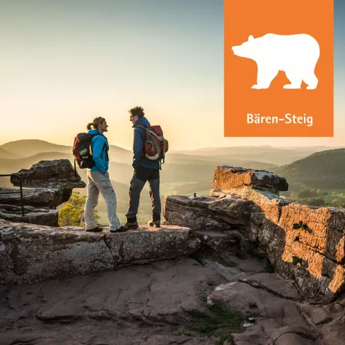 Bären-Steig auf dem Drachenfels bei Abendstimmung