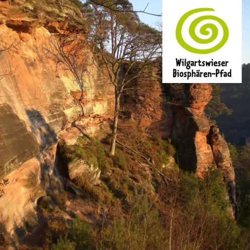 Wilgartswieser Biosphären-Pfad mit abendlicher Felsbeleuchtung (© Pfalz.Touristik e.V. Foto: VG Hauenstein) Wilgartswieser Biosphären-Pfad mit abendlicher Felsbeleuchtung