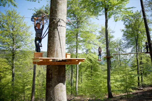 Ziplinepark Elmstein- Iggelbach