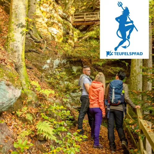 Teufelsfelsen im Wald bei Pirmasens