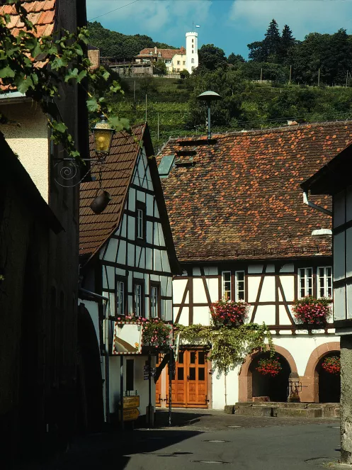 Ortskern Leinsweiler mit Fachwerkhäusern, Brunnen und Burgturm im Hintergrund
