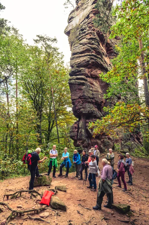 Unberührte Natur rund um das Hotel Felsentor in Hauenstein