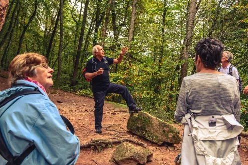 Wanderführer an den Geiersteinen im Pfälzerwald