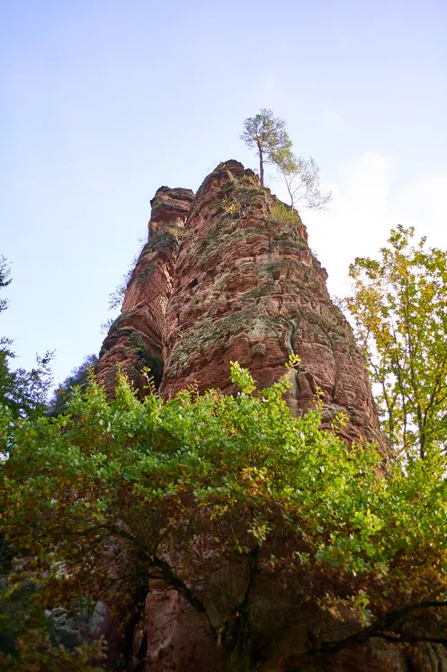 Bizarre Felsformation auf dem Dahner Felsenpfad