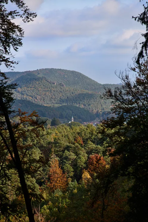 Aussicht über den Pfälzerwald bei Dahn