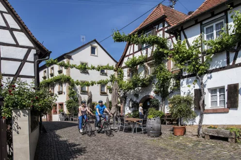 Pfälzer Weinberge & Winzerorte per Rad entdecken