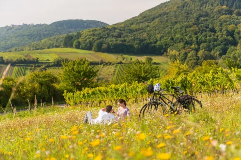 Genussradeln an der Deutschen Weinstraße