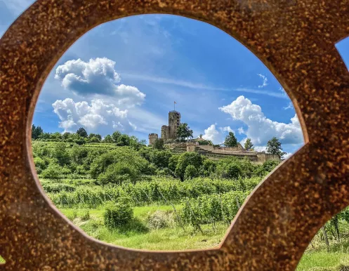 Blick auf die Wachtenburg in Wachenheim