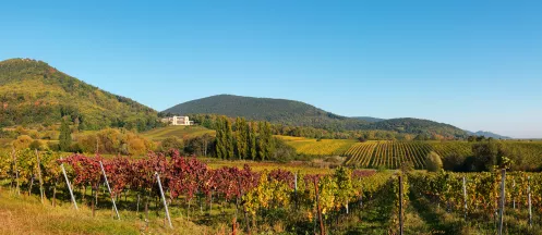 Der Blick auf die Villa Ludwigshöhe in Edenkoben