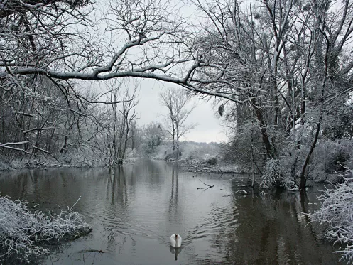 Treidlerweg entlang des Rheins im Winter