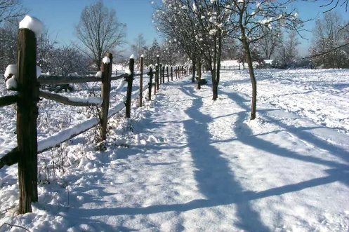 Winter in der Urlaubsregion Freinsheim