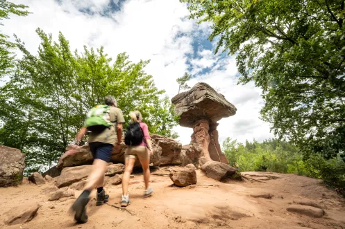 Wandern im Biosphärenreservat Pfälzerwald