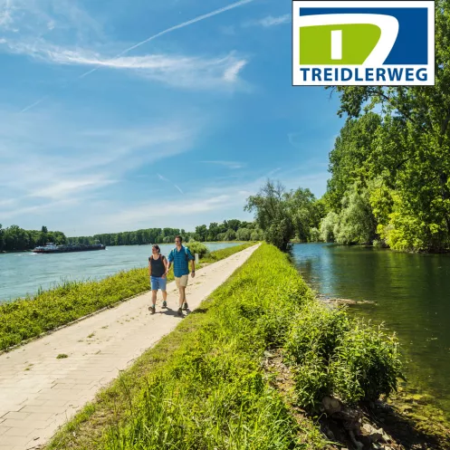 Treidlerweg entlang des Rheins bei Rülzheim