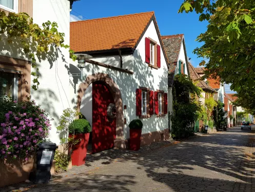 Theresienstraße in Rhodt unter Rietburg