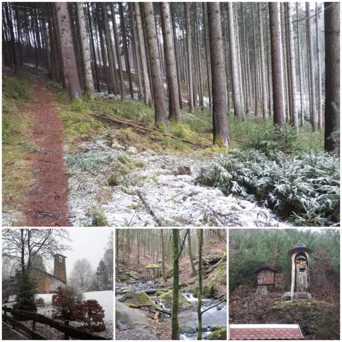 Pfälzer Waldpfad