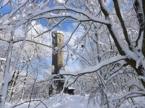 Ludwigsturm im Winter