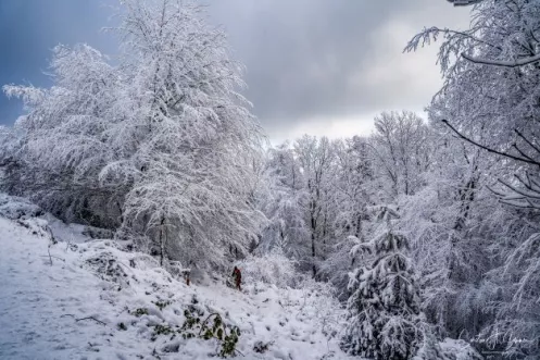 Pfälzer Hüttentour im Winter