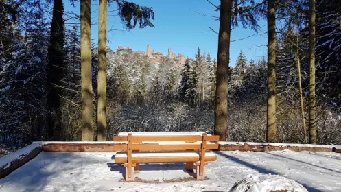 Blick auf Burg Alt-Dahn auf der Hahnfels Tour im Winter