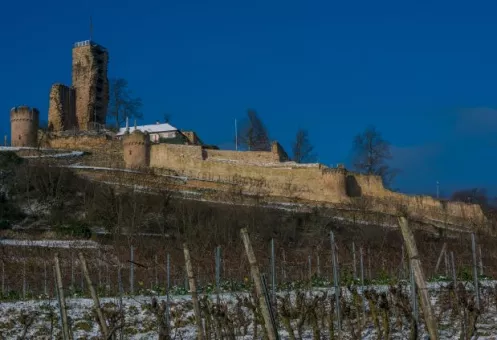 Schneebedeckte Wachtenburg mit Weinberg