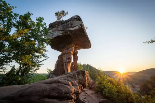 Teufelstisch Felsformation mit Ausblick auf Pfälzerwald