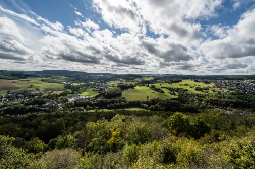 Ausblick von der Ruine Michelsburg