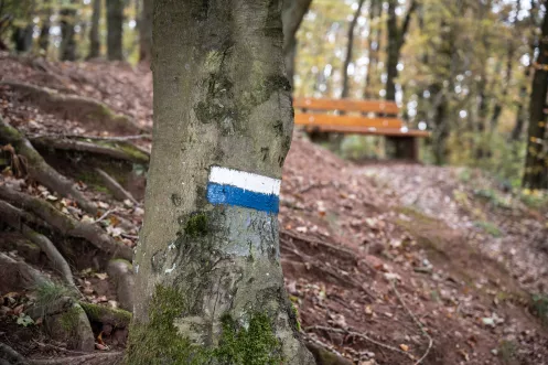 Wanderweg zur Hohlsteinhütte