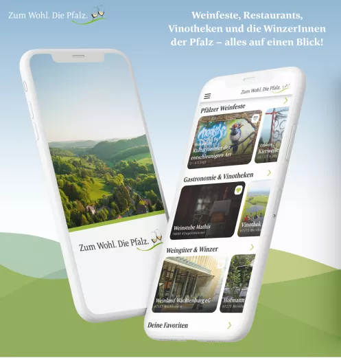 Neue Pfalz-App veröffentlicht