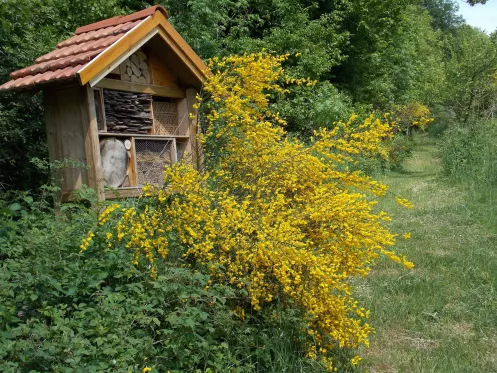 Naturlehrpfad - Insektenhotel 