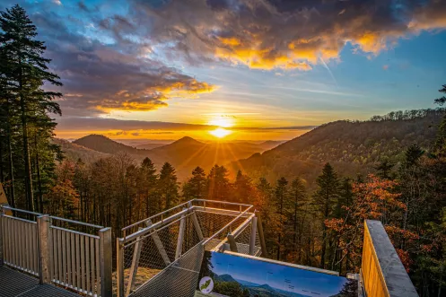 Sonnenuntergang auf der barrierefreien Aussichtsplattform beim Hermersbergerhof im Pfälzerwald