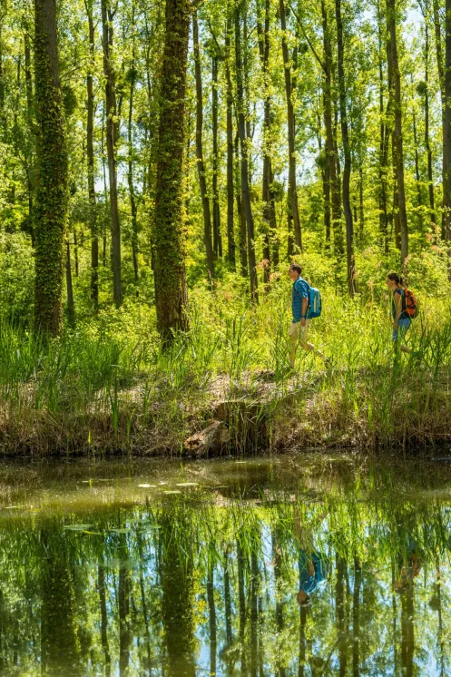 Wanderer in der Rhein-Auenlandschaft auf dem Treidlerweg