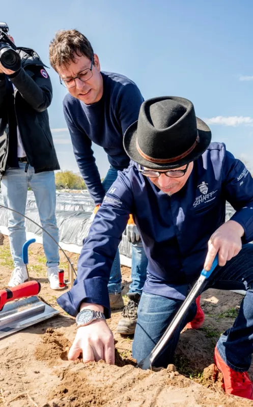 Spitzenkoch Martin Scharff sticht Spargel unter der Augen des Spargelbauers Thomas Reeb