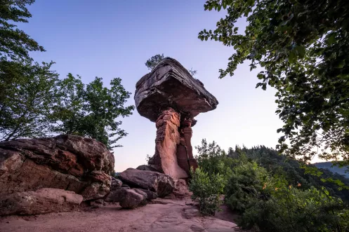 Teufelstisch Felsformation im Pfälzerwald