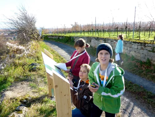 Kinder in den Weinbergen auf dem Geo-Erlebnispfad Bad-Dürkheim