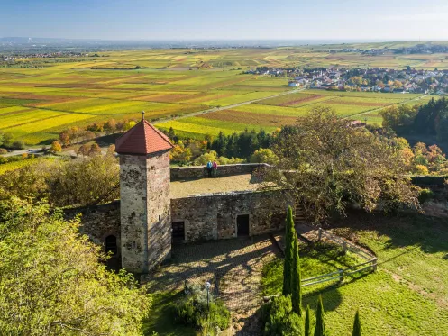 Wanderer auf der Burgruine Battenberg mit Blick über das Rebenmeer
