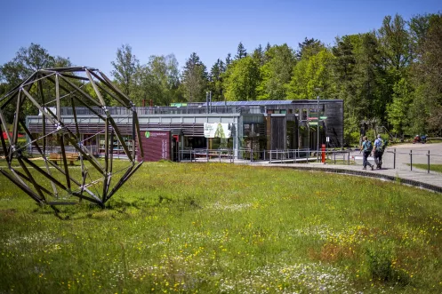 Haus der Nachhaltigkeit im Pfälzerwald im Sommer mit Wanderer