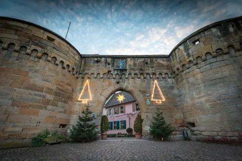 Die Stadtmauer von Freinsheim zur Weihnachtszeit. An der Mauer hängen Weihnachtslichter und davor stehen Tannenbäume.