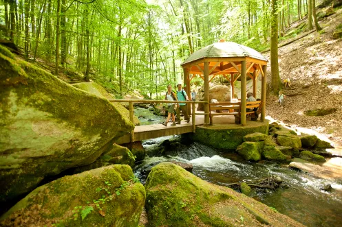 Eine Person wandert in der Karlstalschlucht bei Trippstadt am Pfälzer Waldpfad.
