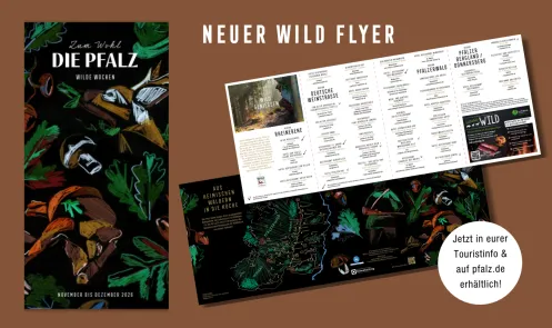 Flyer Wilde Wochen Pfalz 2026