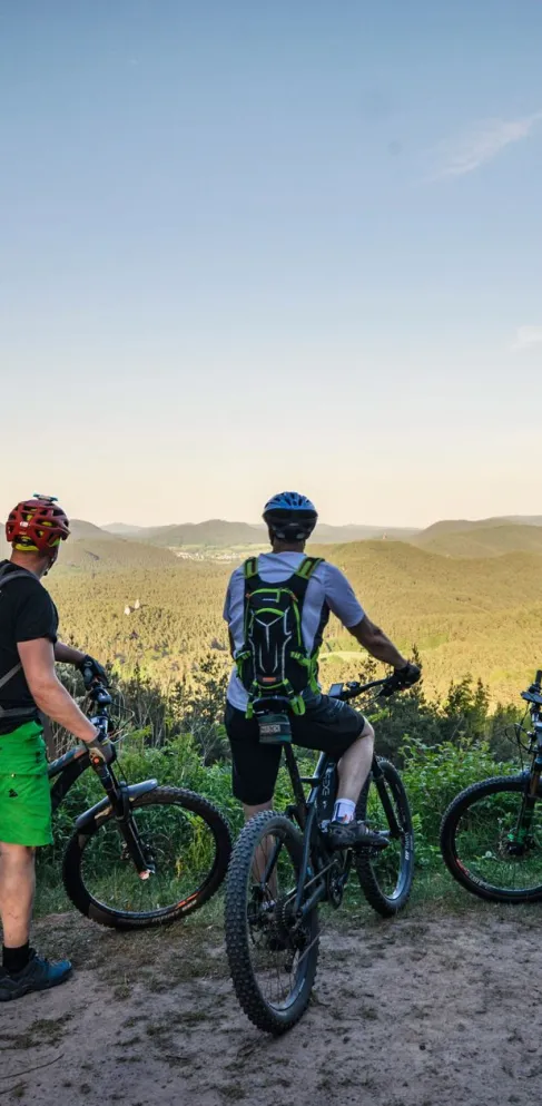 Mountainbikepark Pfälzerwald
