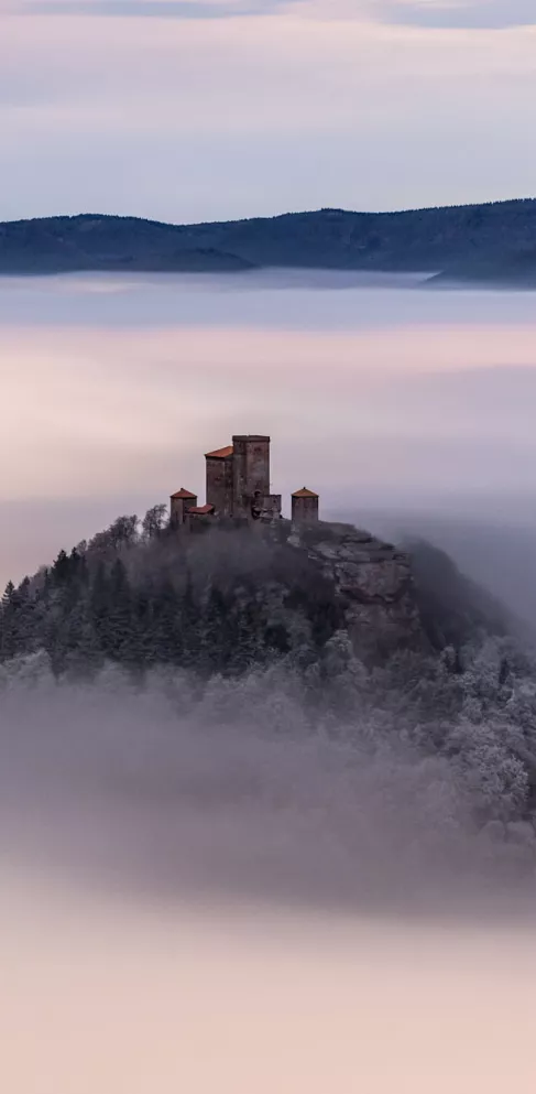 Burg Trifels im Winternebel