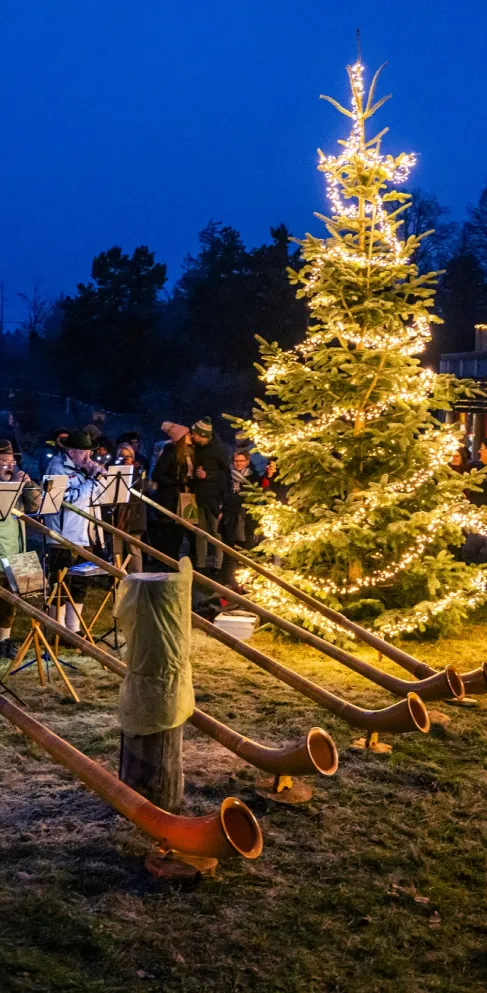 Alphornbläser auf dem Romantische Waldweihnacht Weihnachtsmarkt in Johanniskreuz