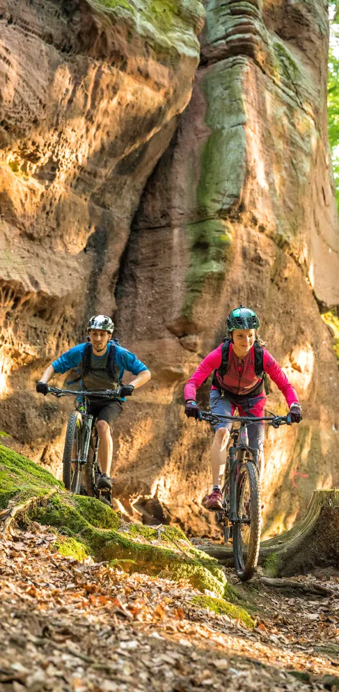 Eine Frau und ein Mann fahren mit ihren Mountainbikes im Pfälzerwald.
