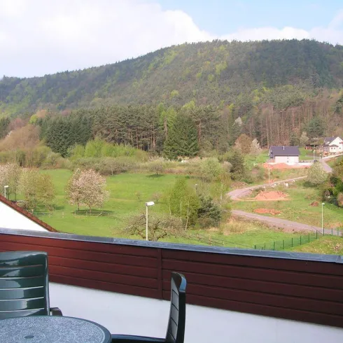 Aussicht I Balkon Ferienwohnung Waldblick (© Thomas Schütze)